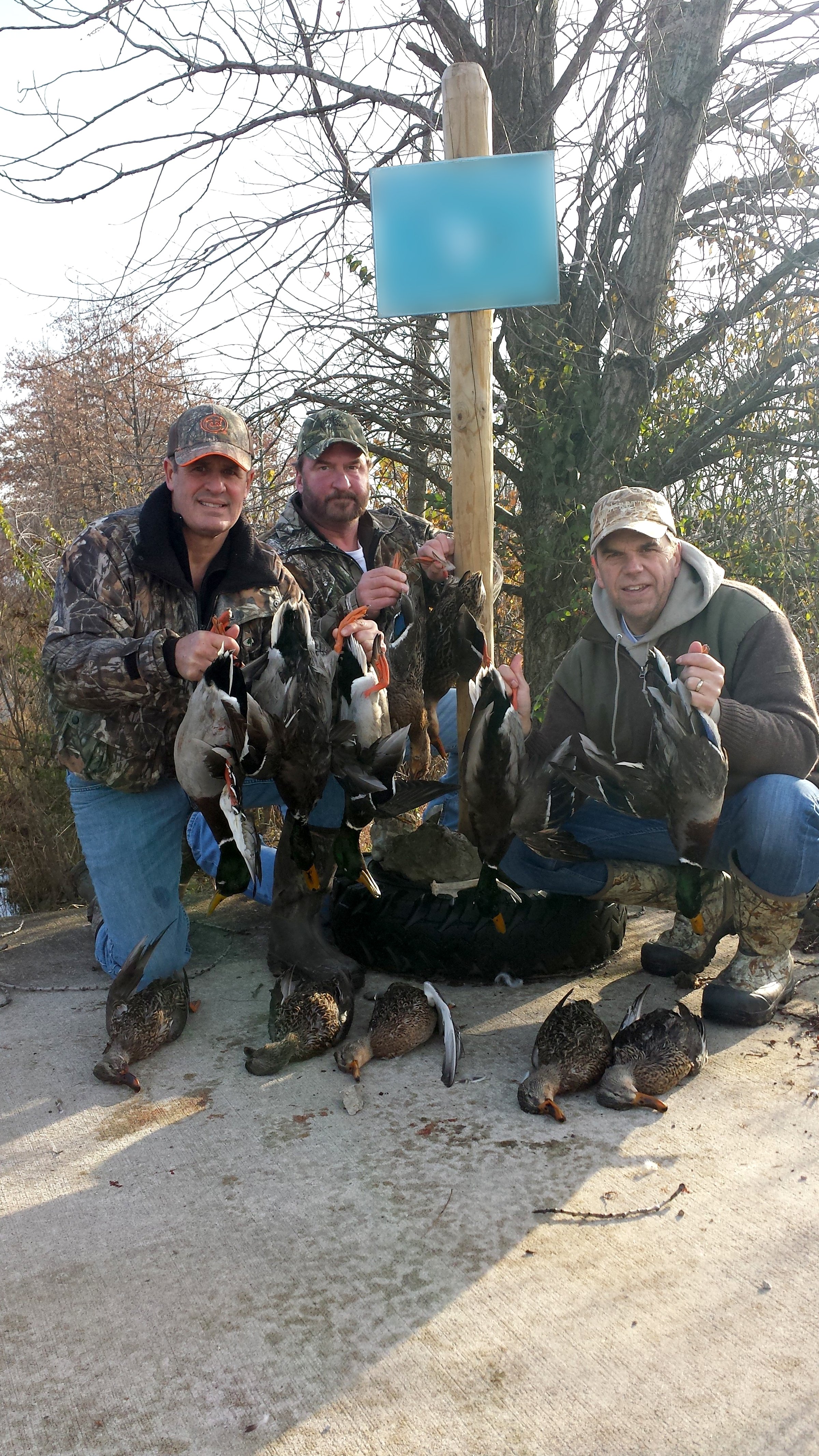 Lake County, Indiana wildlife caught - LAND AUCTION - 147+/- ACRES OFFERED IN 3 TRACTS IN LAKE COUNTY, INDIANA